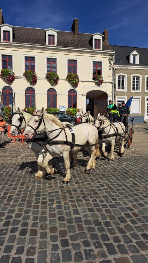 Gite La Grange 8Personnes Au Sein D'Un Elevage De Chevaux Brucquedal Exterior foto